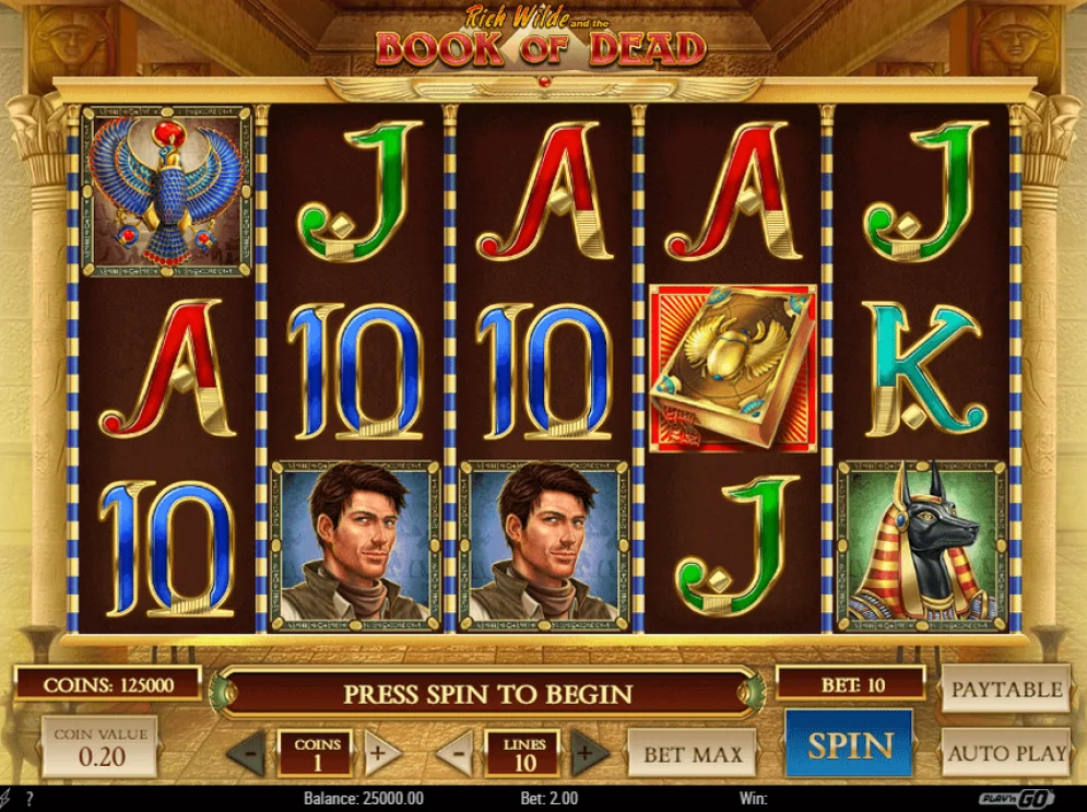 Book of Dead slot