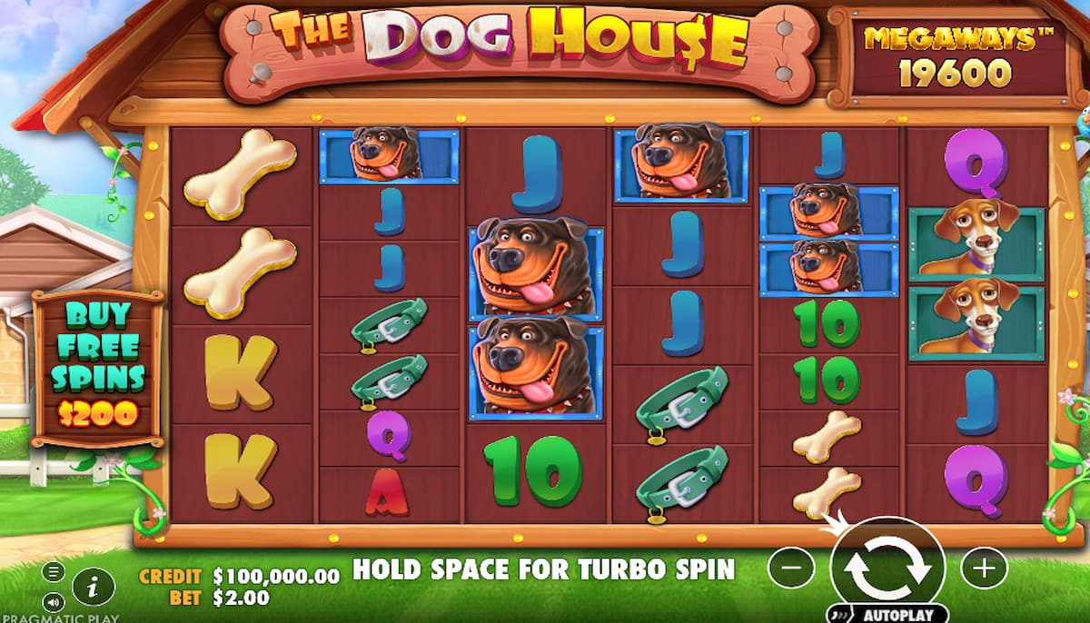 The Dog House Megaways slot game