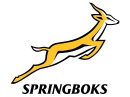 Springboks and South African rugby icon