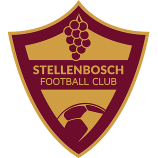 Stellenbosch FC logo